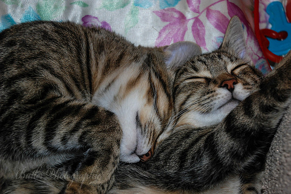 So Tired