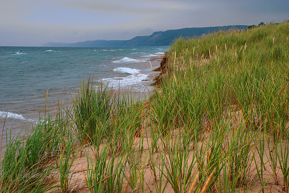 Dunes and grass of the beautiful Lake Michigan shoreline.