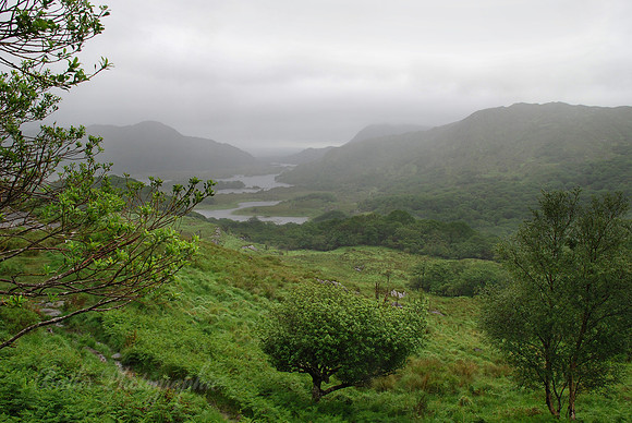 Ireland - Ring Of Kerry - Killarney National Park