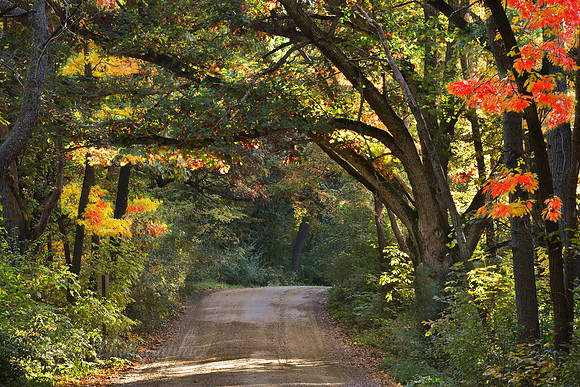 Sunrise of Fall Colors - Holly, Michigan