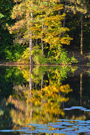 Wildwood Lake - Holly, Michigan