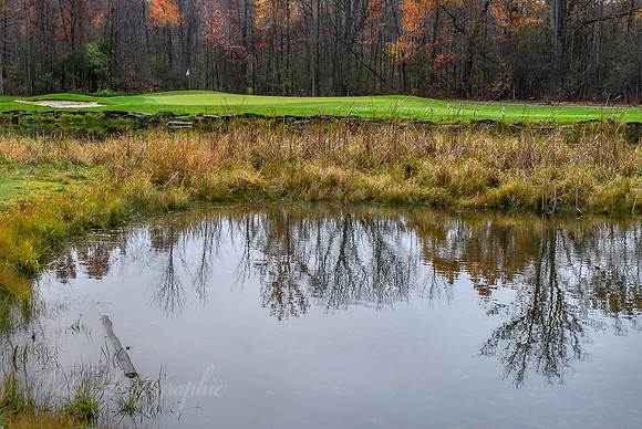 4th Hole - Captain's Club at Woodfield
