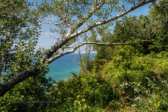 Arcadia Scenic Overlook