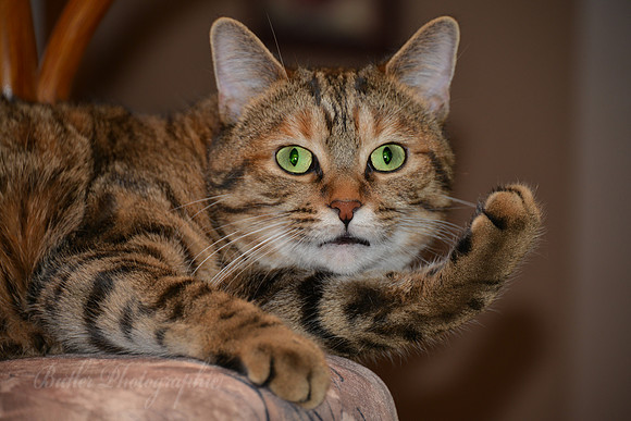 Give Me Five