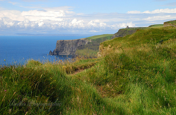 Ireland - Grasses of Moher