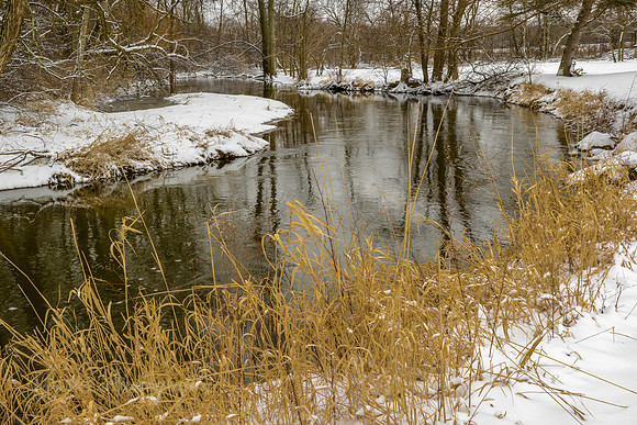 The Creek