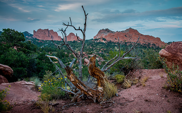 Garden Of The Gods