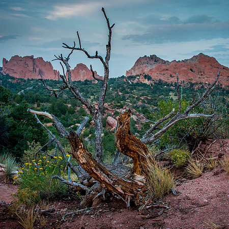 Garden Of The Gods