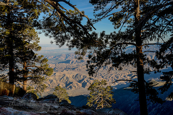Desert View Trail #3
