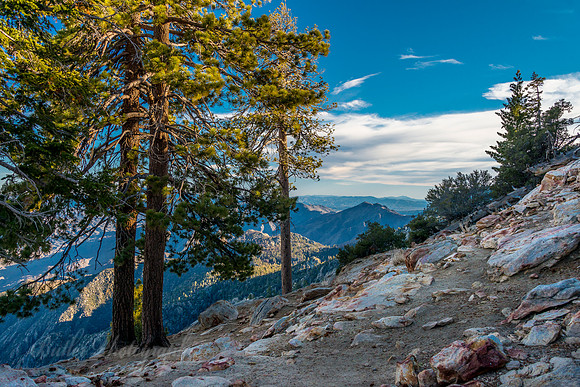 Desert View Trail #4