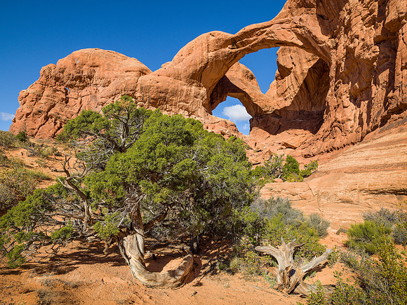 Double Arch #1