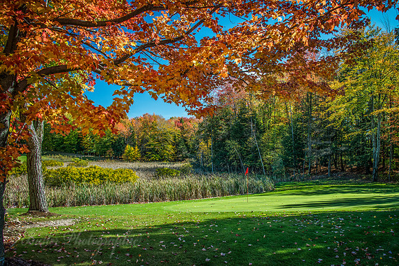 Mesick Golf Club