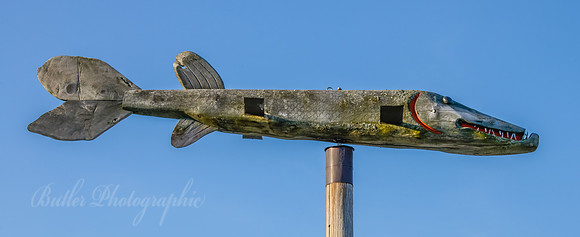 Pike Vane