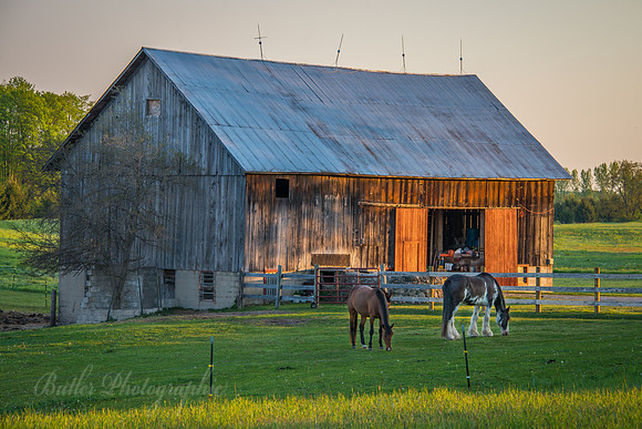 Two Horses and a Barn
