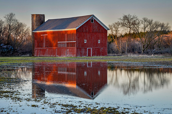 Morrish Road Reflection