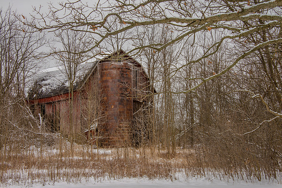 The Last Snow