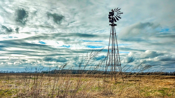 Weathered Sky