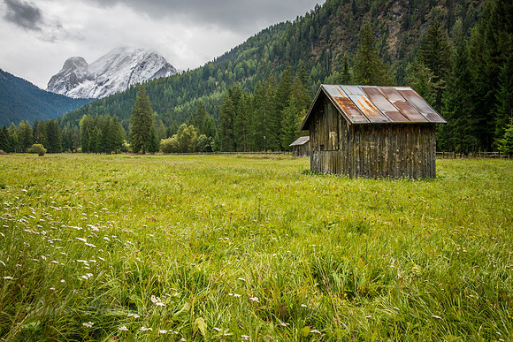 Meadows & Mountains in The Dolomites