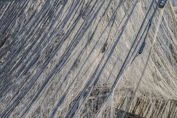 Nets of Fish Town