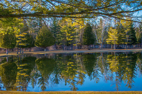A Ponds Mirror