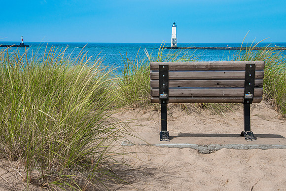 A Bench with a View