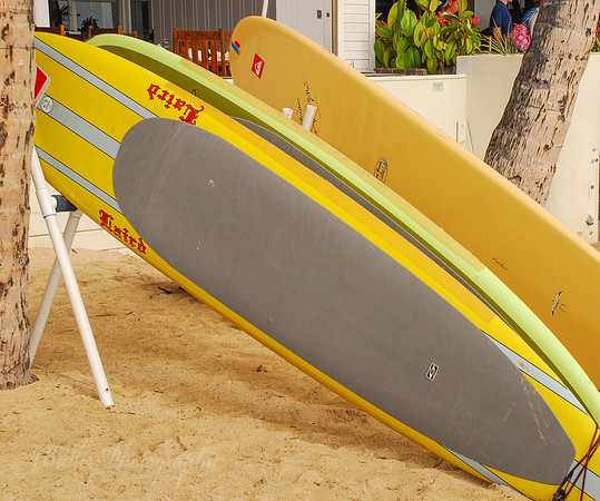 Boards for Rent