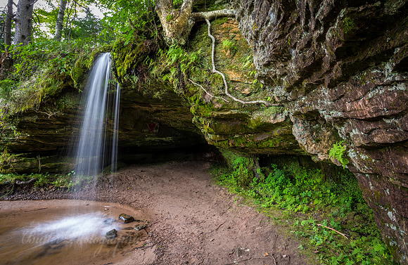 Sandstone & Moss - Scott Falls
