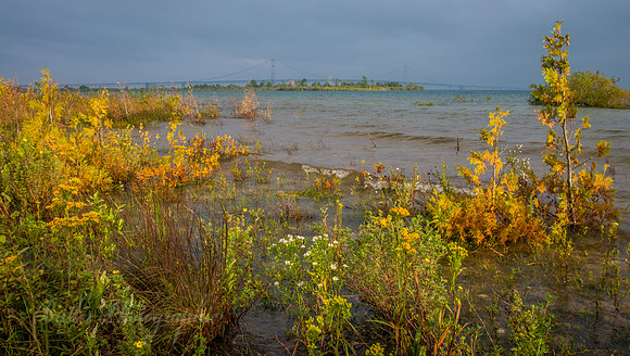 Coastline of St. Ignace