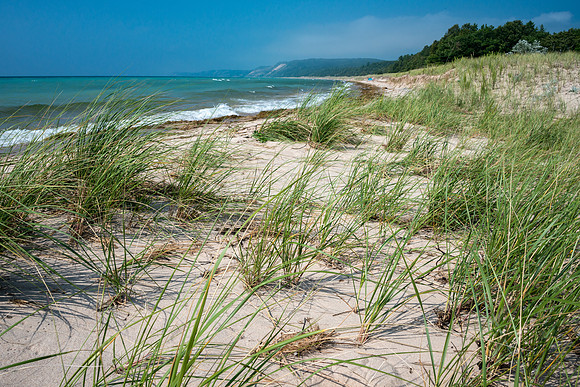 Dune Grass & Sand - Lake Michigan