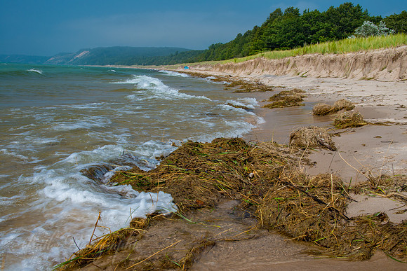 Seaweed & Waves - Lake Michigan