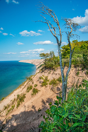 Log Slide - Pictured Rocks National Lakeshore