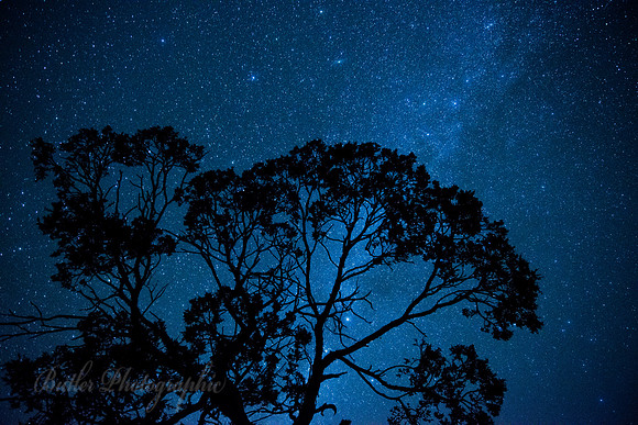 Night Sky at Fairyland Point