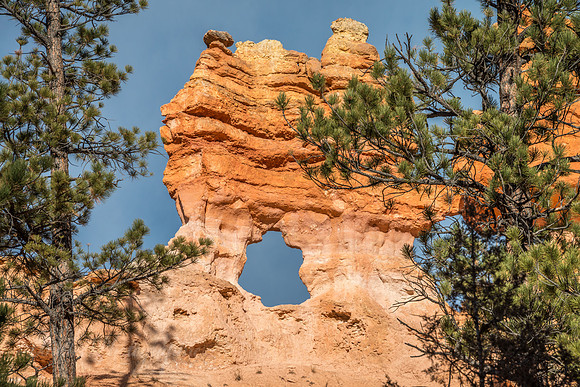 Mossy Caves