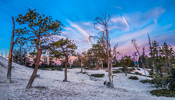 Rim Trail at Sunrise
