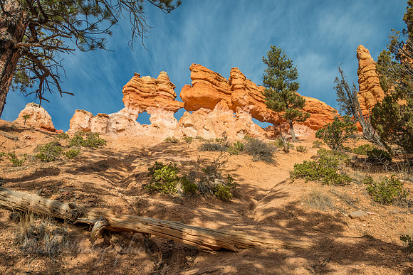 Mossy Caves