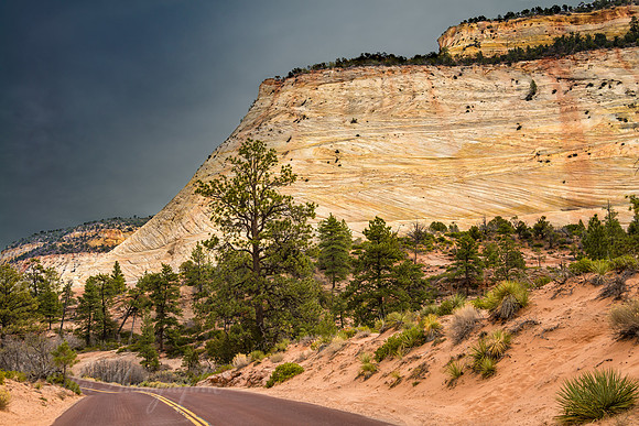 Checkerboard Mesa - National Park