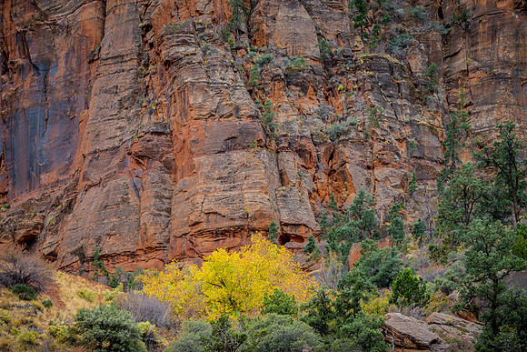 Colors of Zion National Park