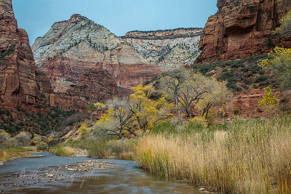 Big Bend Area - Zion National Park
