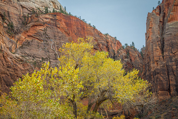 Zion Scenic Drive - Zion National Park