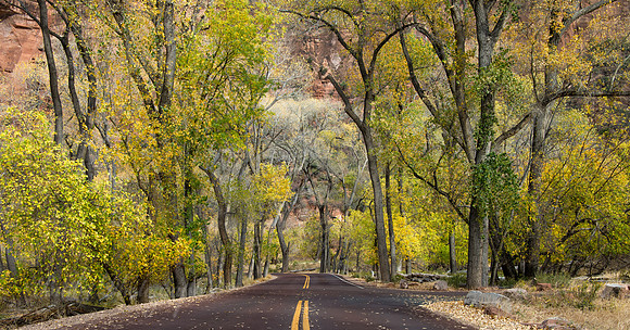 A Beautiful Drive - Zion National Park