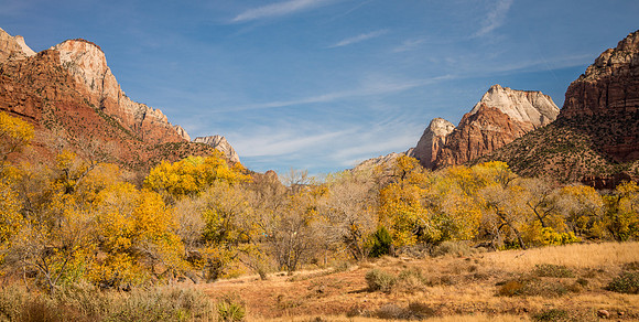 Zion Lodge Area Valley