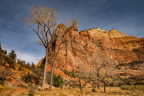 Big Bend Area Valley - Zion National Park