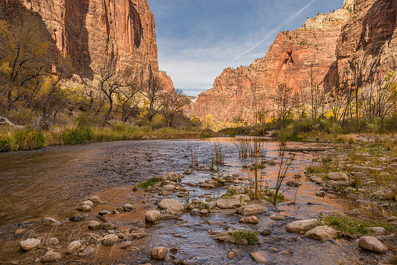 Stones & Water - Zion National Park