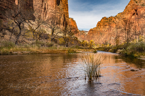 The Smooth Virgin River - Zion National Park