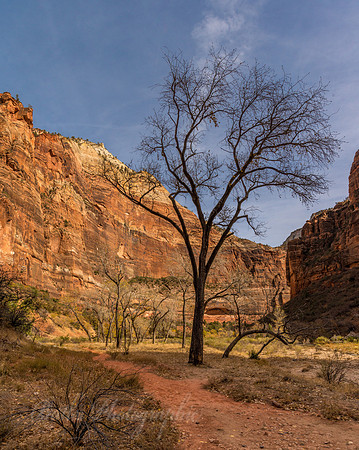 Trials of Big Bend Area