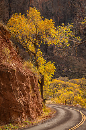 Follow the Yellow Line