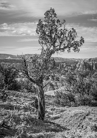 Kodachrome Basin State Park, Utah