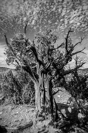 Kodachrome Basin State Park, Utah