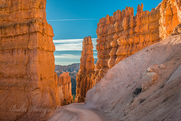 Navajo Trail to Wall Street