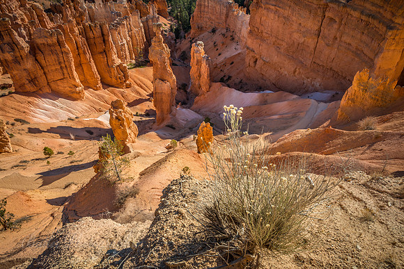 Bryce Canyon National Park, Utah